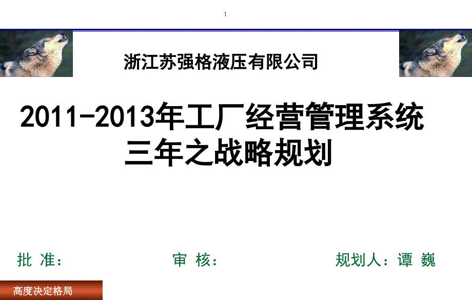 苏强格战略规划_第1页