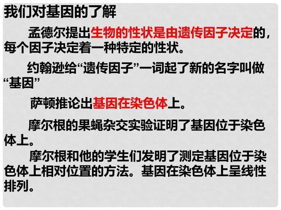 高中生物 第三章 第四节 基因是有遗传效应的DNA片段课件 新人教版必修2_第5页