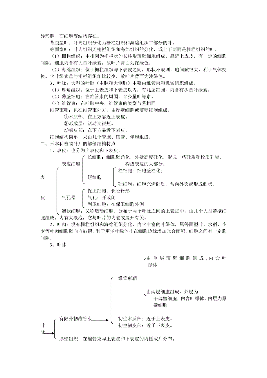 被子植物叶的形态结构和功能.doc_第2页