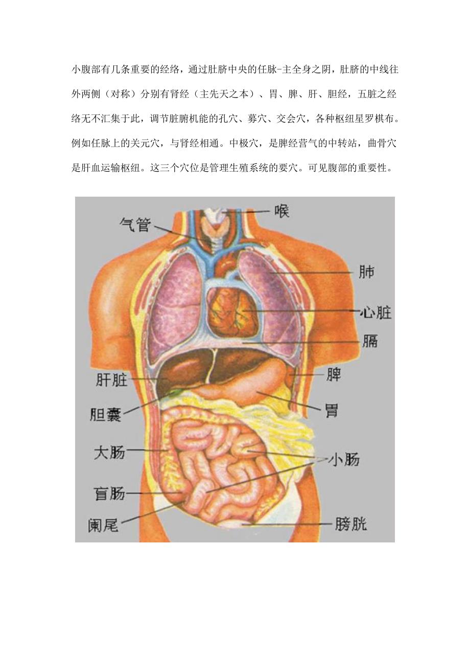 推揉小腹是防治慢性病的灵丹妙药.doc_第2页