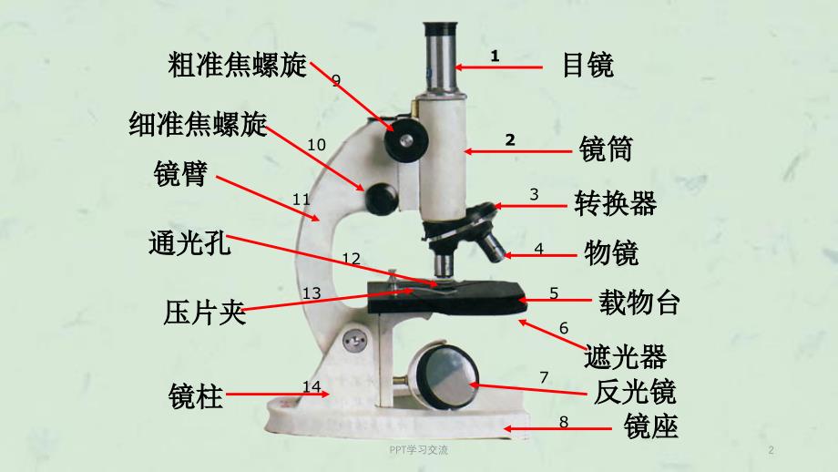 显微镜结构图及使用方法ppt课件_第2页