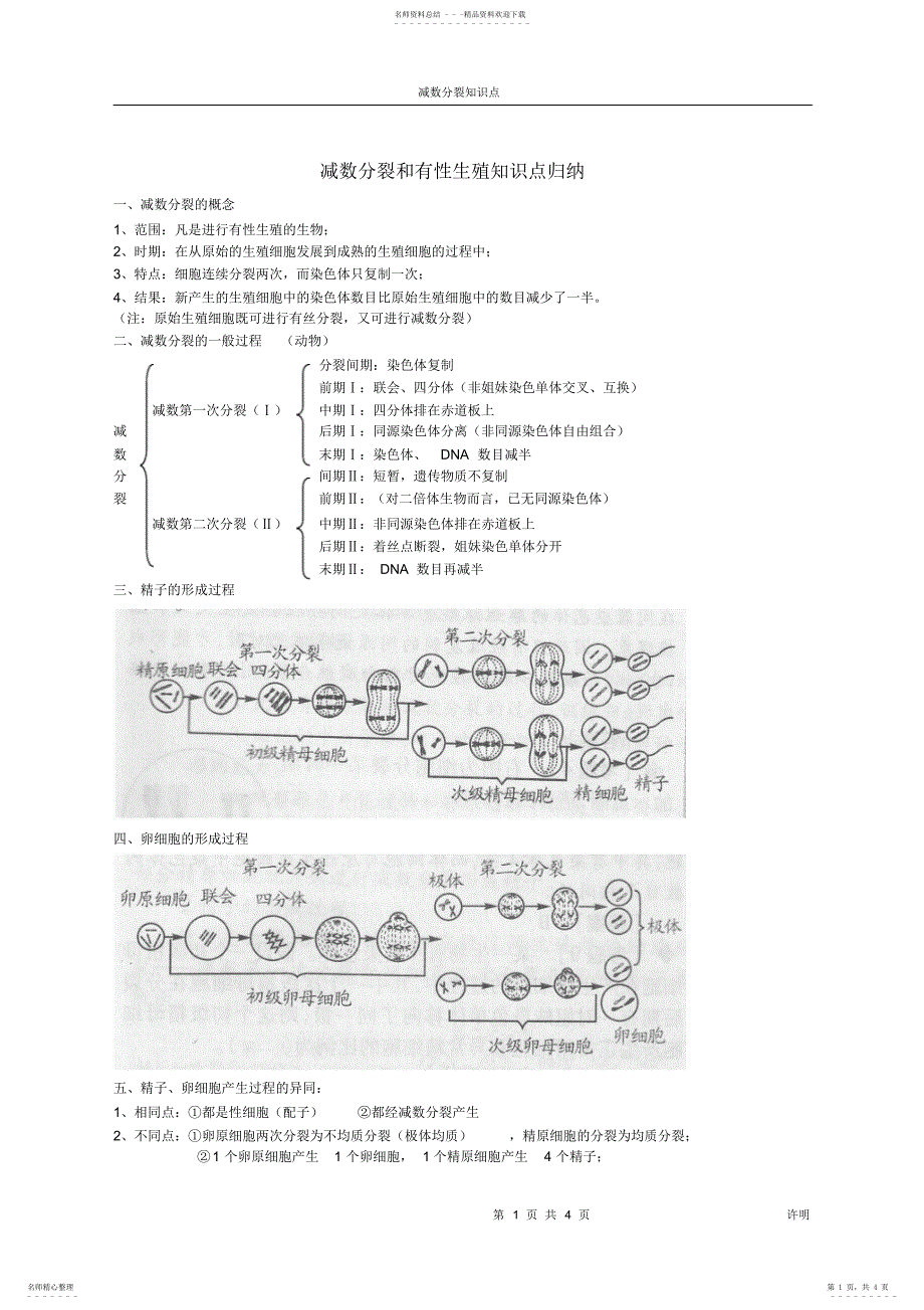 2022年2022年减数分裂知识点归纳_第1页