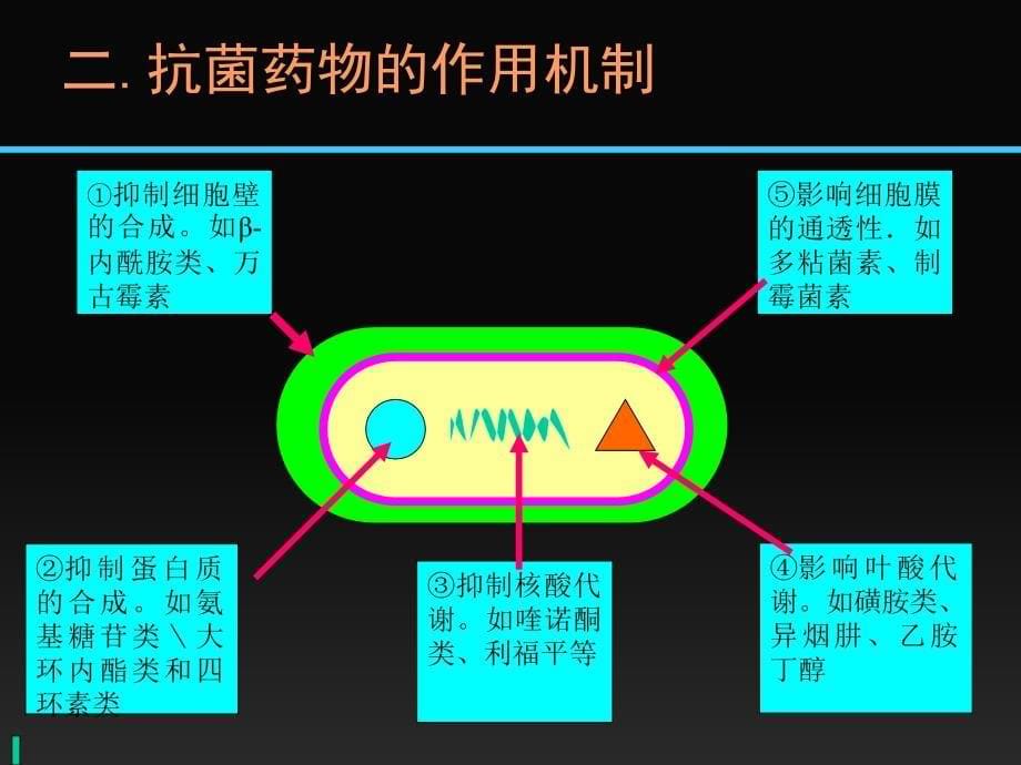 抗细菌药物文档资料_第5页