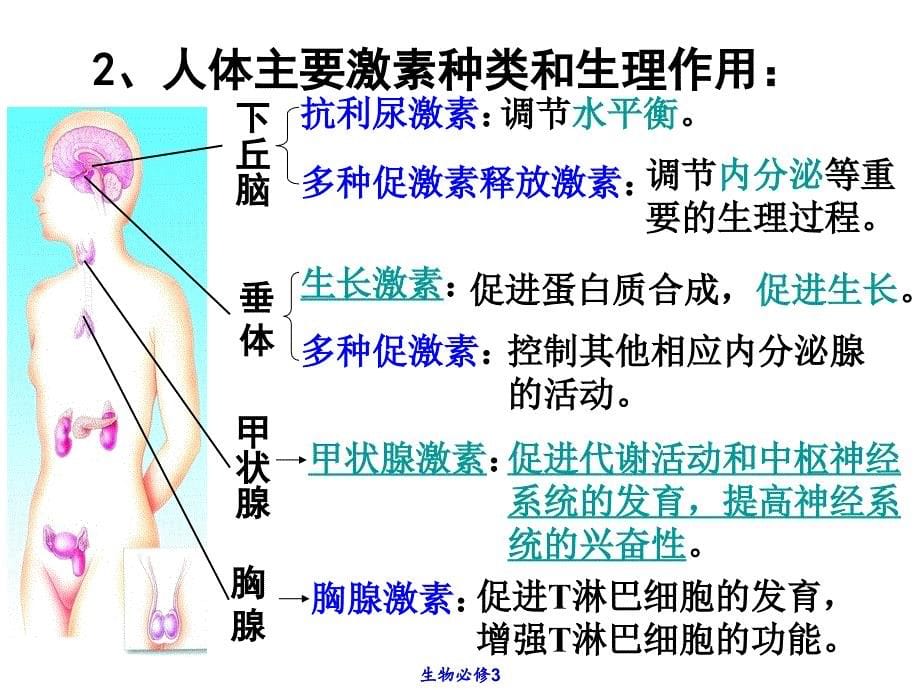 《人体的激素调节》PPT课件_第5页