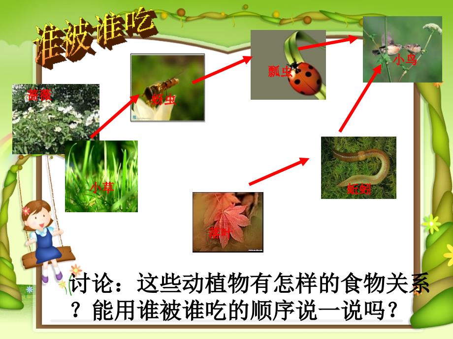 五年级上册科学课件1.5食物链和食物网教科版共1张PPT_第4页