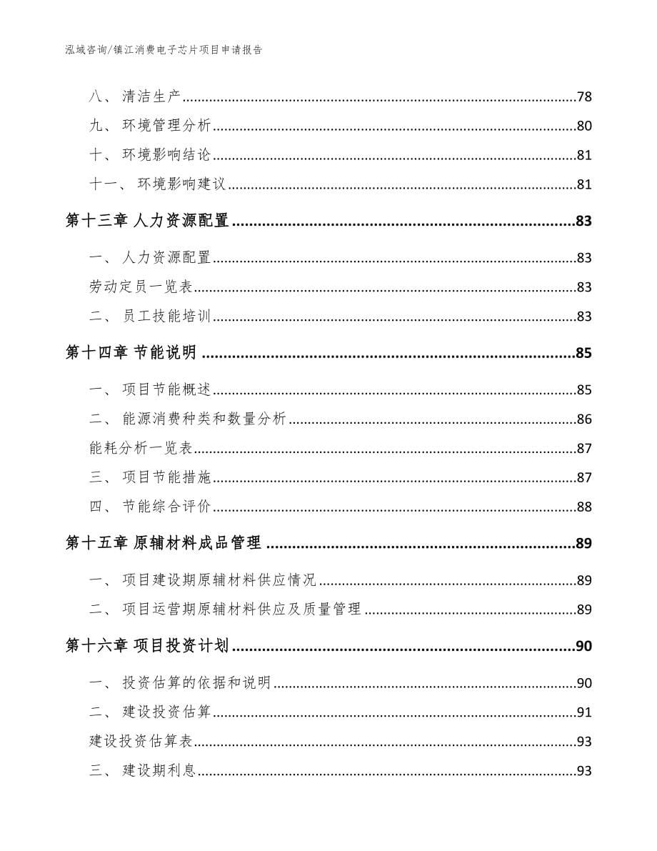 镇江消费电子芯片项目申请报告（模板范文）_第5页