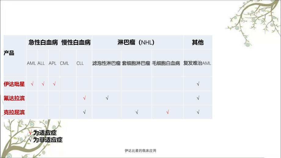 伊达比星的临床应用_第3页