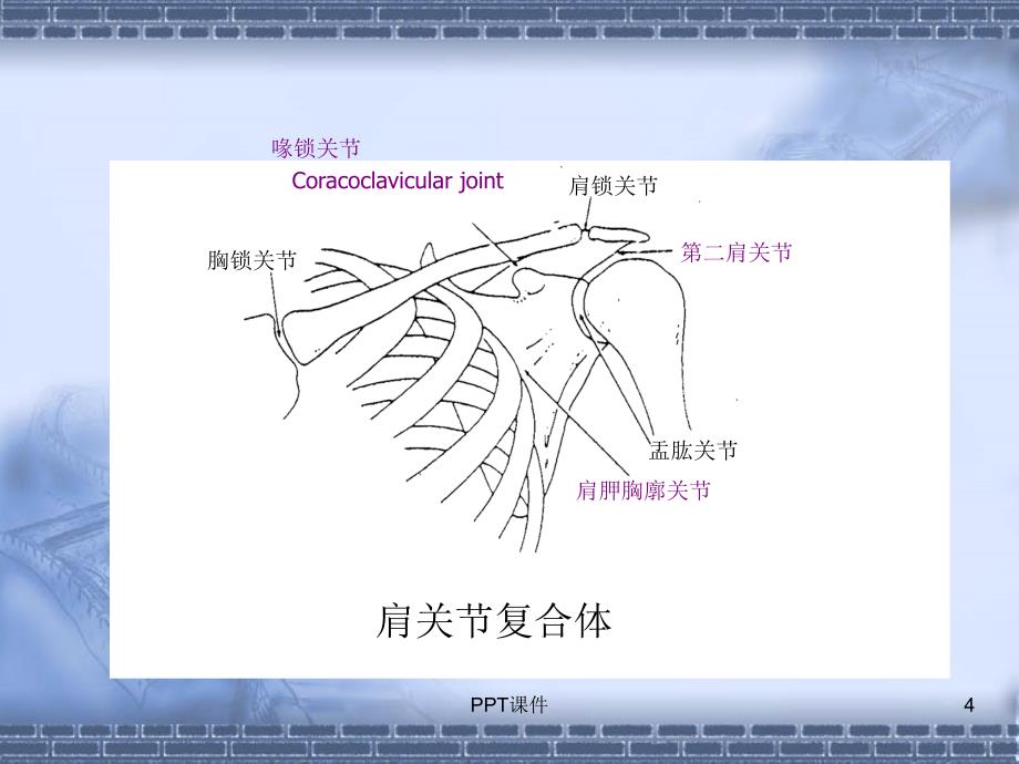 肩周炎的康复治疗--ppt课件_第4页