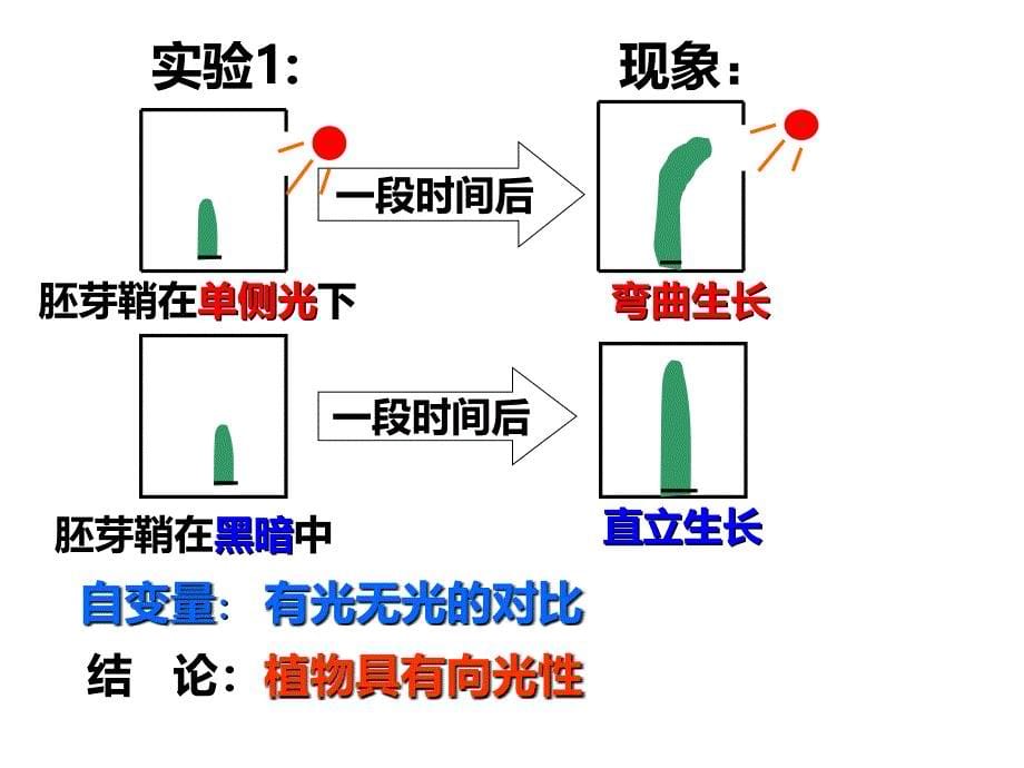 《物的激素调节》PPT课件_第5页