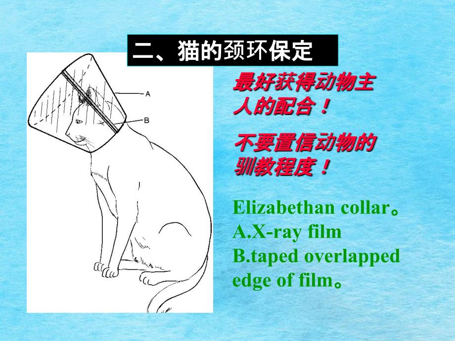 第五节犬猫的保定ppt课件_第4页