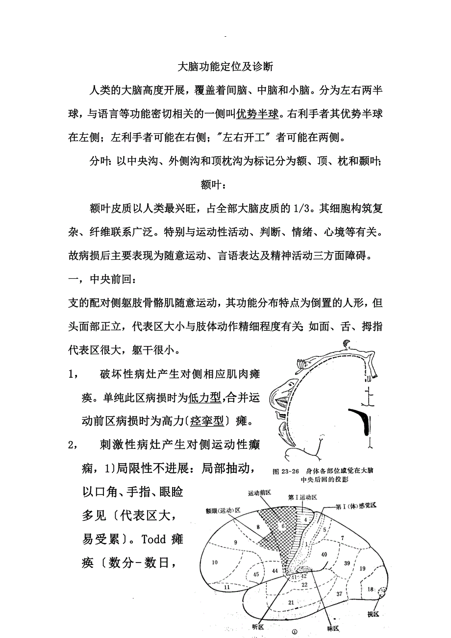 大脑功能定位诊断_第1页