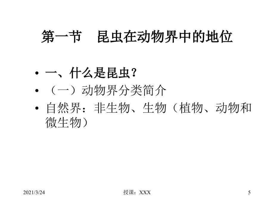 1普通昆虫学(形态学部分)PPT课件_第5页