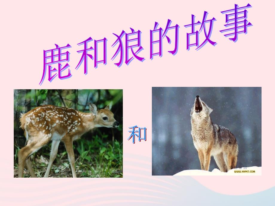 最新六年级语文上册第四组14鹿和狼的故事课堂教学课件1_第1页
