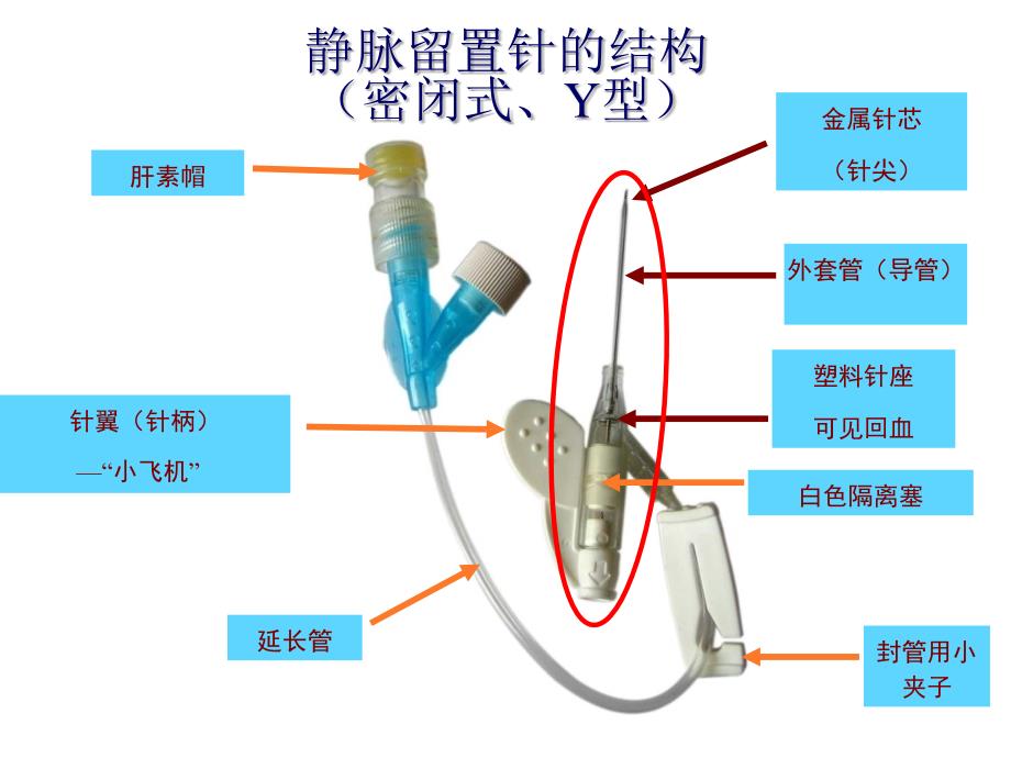 静脉留置针输液法PPT1250_第4页