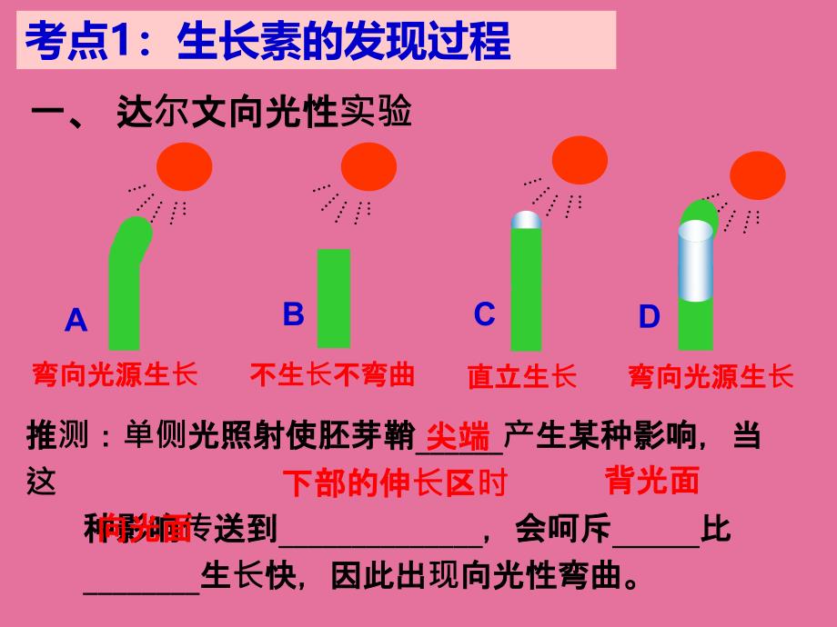 植物激素ppt课件_第3页