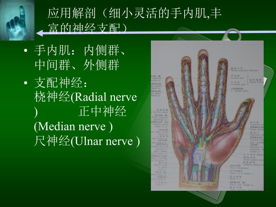 手部神经损伤图文_第4页