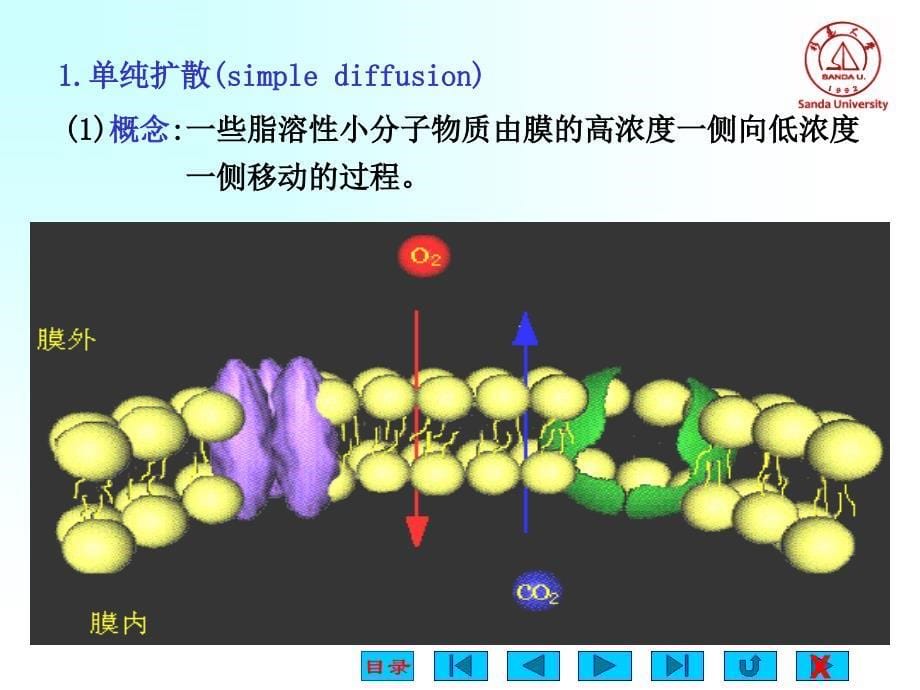 杉达细胞生理_第5页