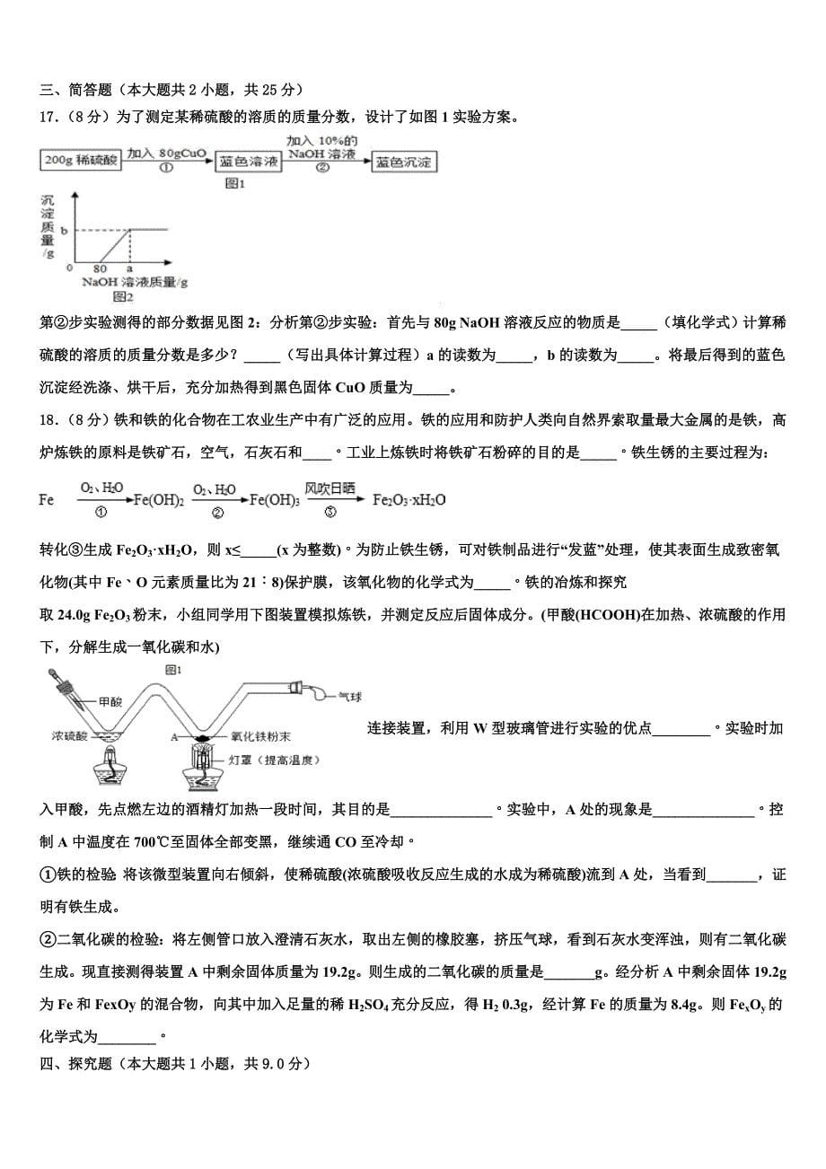 2023学年陕西省蓝田县联考中考一模化学试题（含解析）.doc_第5页