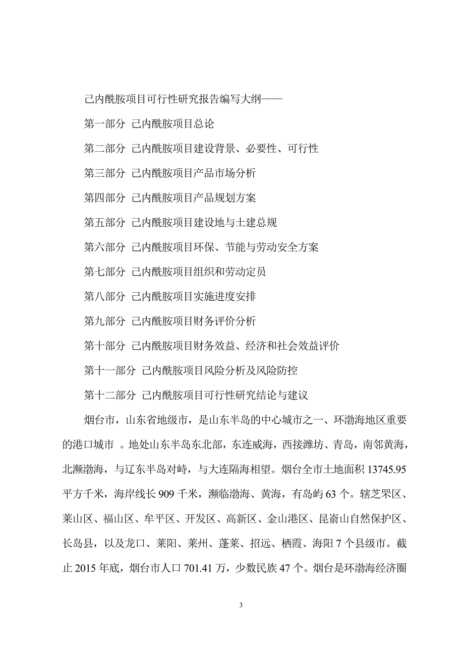 己内酰胺项目可行性研究分析报告_第3页