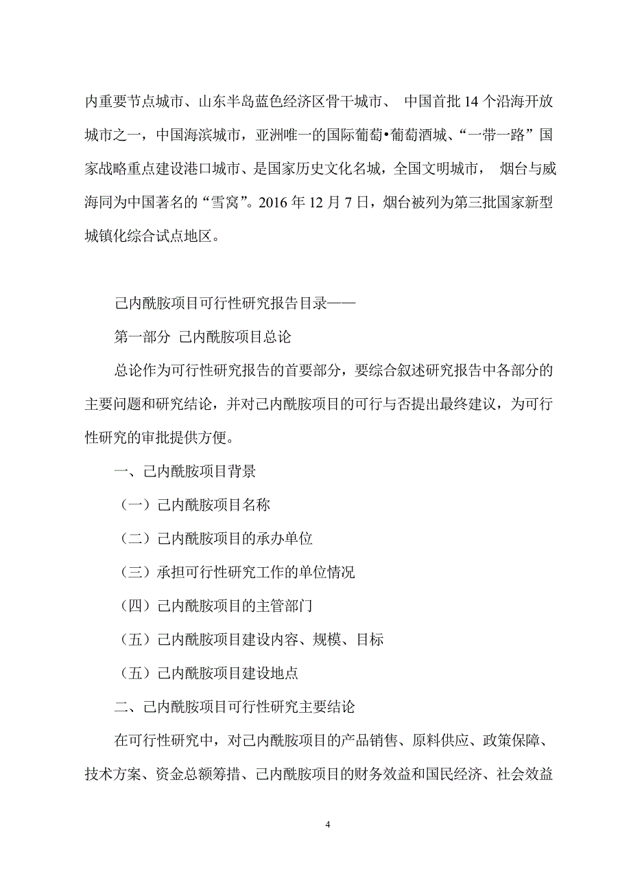 己内酰胺项目可行性研究分析报告_第4页