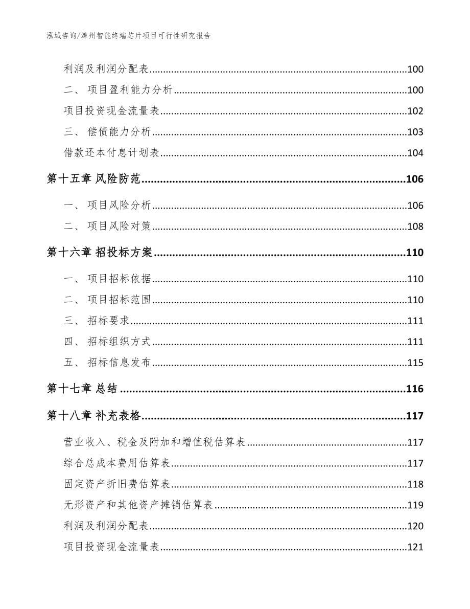 漳州智能终端芯片项目可行性研究报告【模板】_第5页