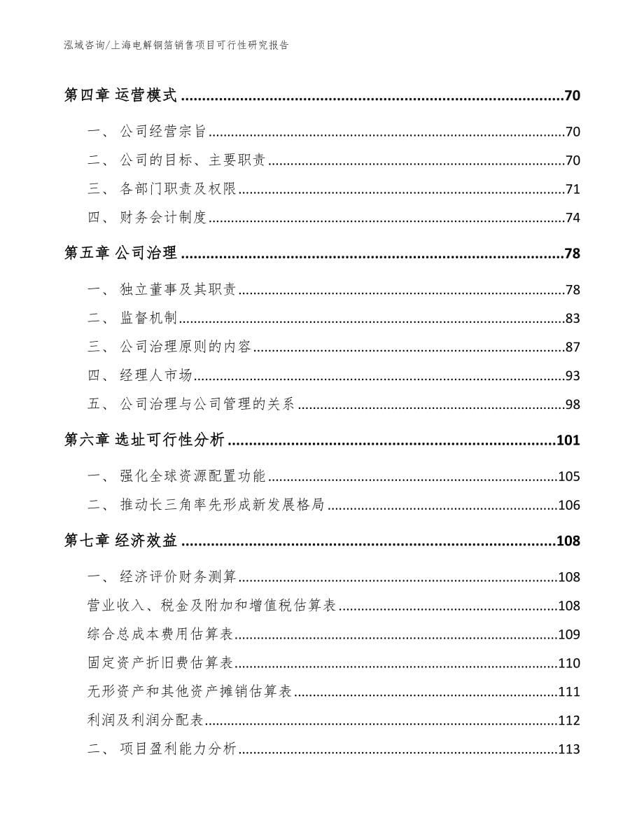 上海电解铜箔销售项目可行性研究报告（模板参考）_第5页