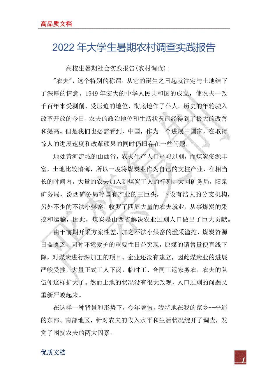 2022年大学生暑期农村调查实践报告_第1页