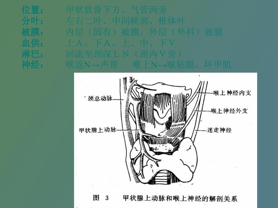 甲状腺疾病讲_第5页