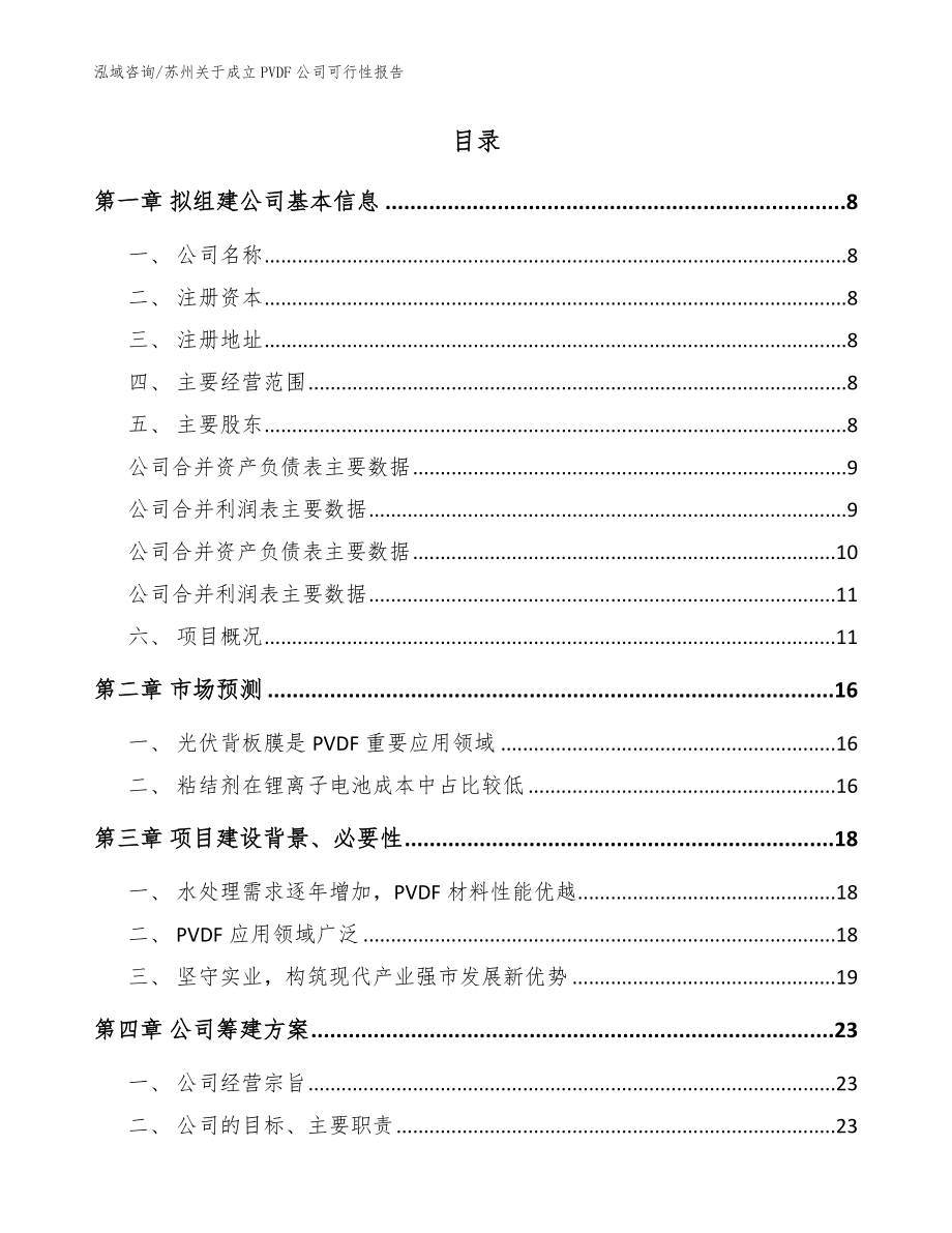 苏州关于成立PVDF公司可行性报告_第2页