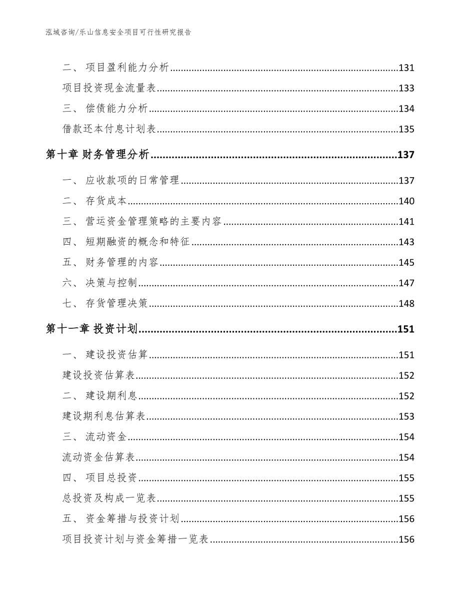 乐山信息安全项目可行性研究报告范文参考_第5页