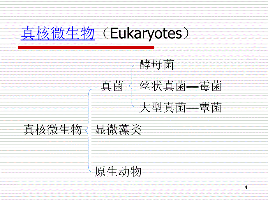 微生物第二章__第4页