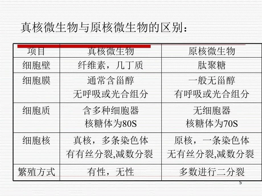 微生物第二章__第5页