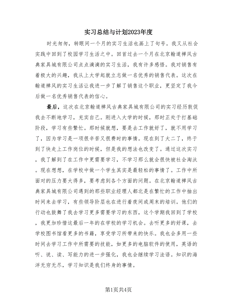 实习总结与计划2023年度（2篇）.doc_第1页