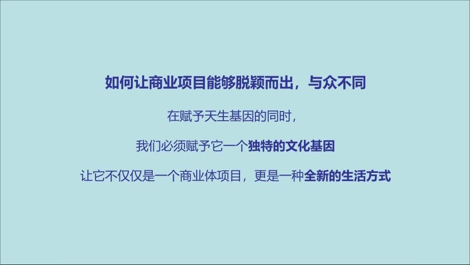 黑龙江同江市宏泰御景东郊商办中心营销推广提报初案49p_第5页