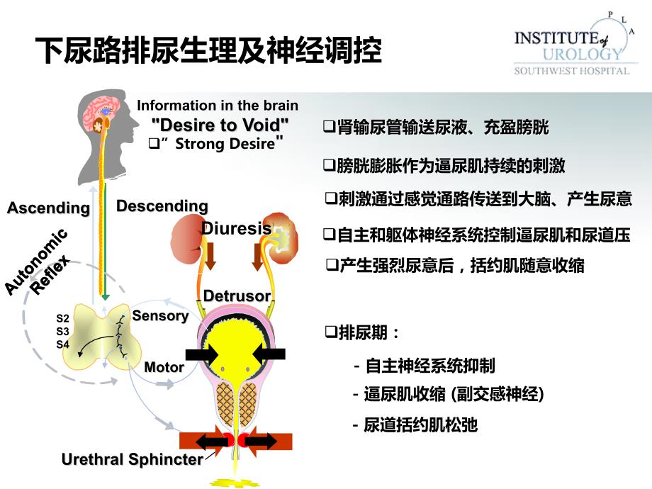 常用尿动力学检查及结果判读_第2页