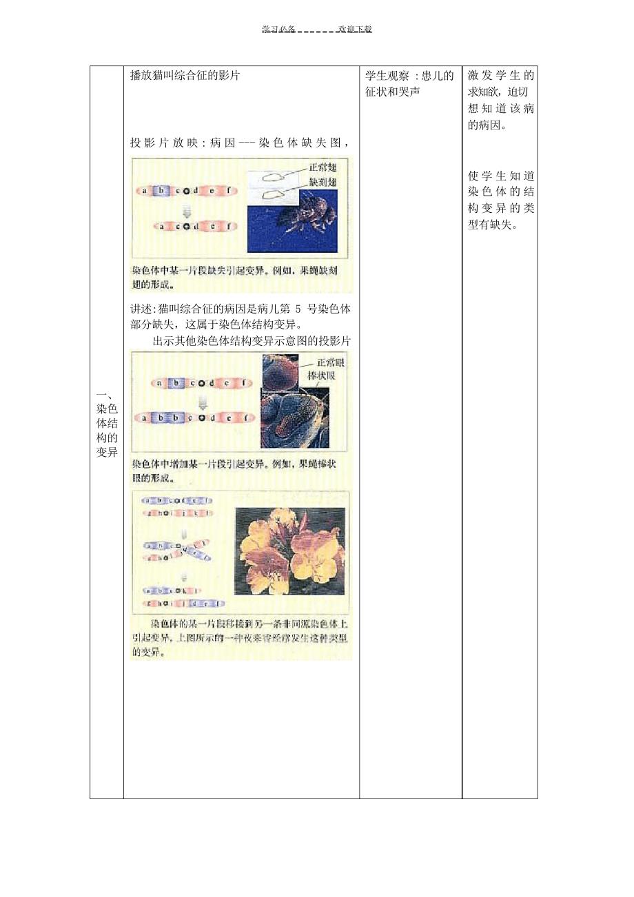 高一生物染色体变异教学设计_第2页