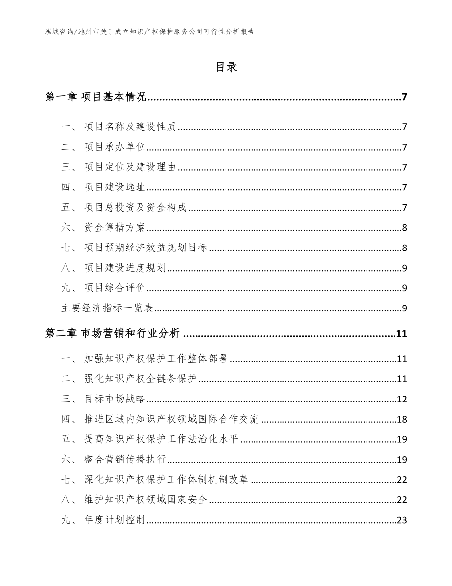 池州市关于成立知识产权保护服务公司可行性分析报告_模板_第2页