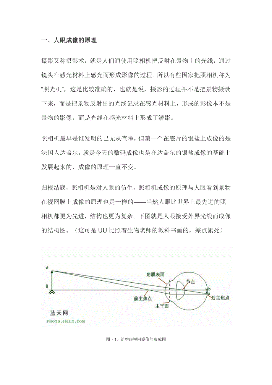 照相机原理和构造.doc_第1页