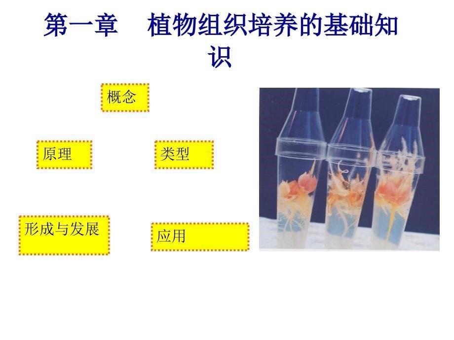 第一章植物组织培养基础知识_第5页