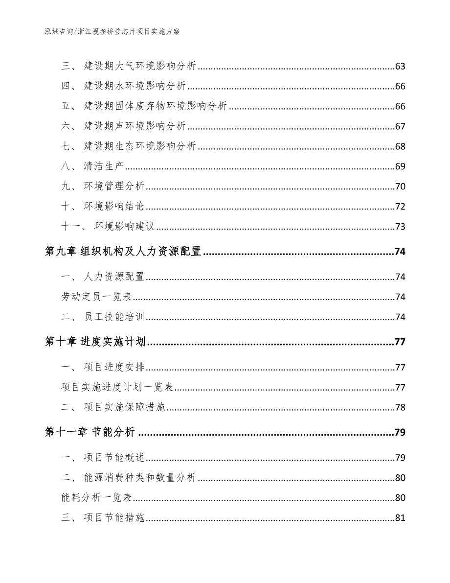 浙江视频桥接芯片项目实施方案_第3页