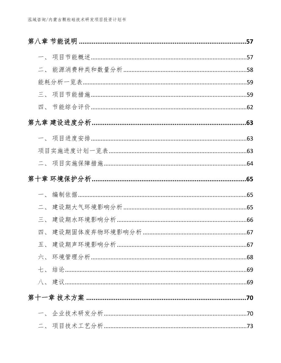 内蒙古颗粒硅技术研发项目投资计划书_第4页