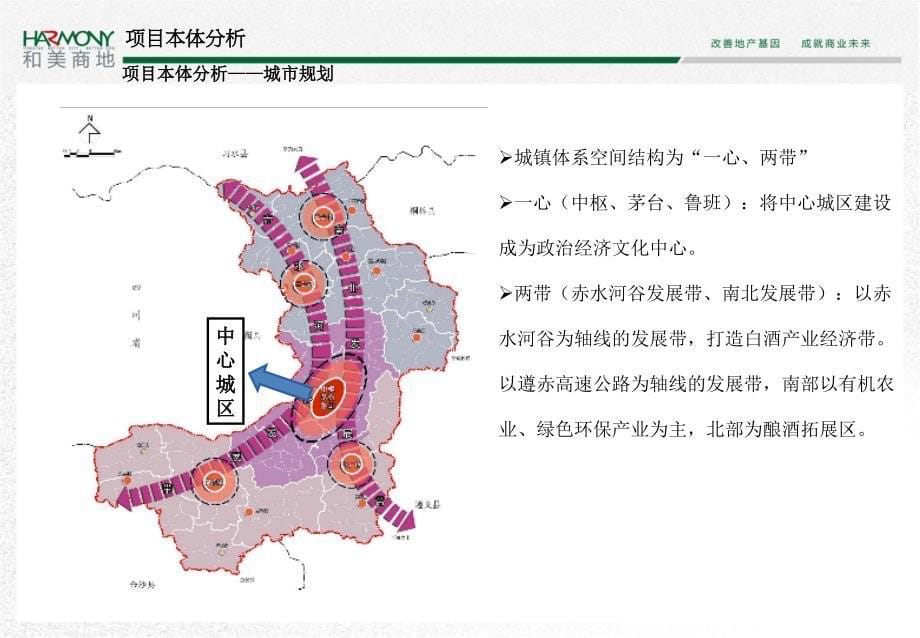 20贵州仁怀国酒城项目定位规划设计建议书52页_第5页