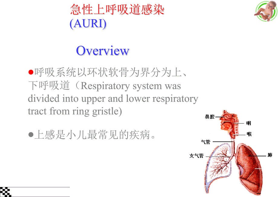 上呼吸道感染儿科ppt课件_第2页