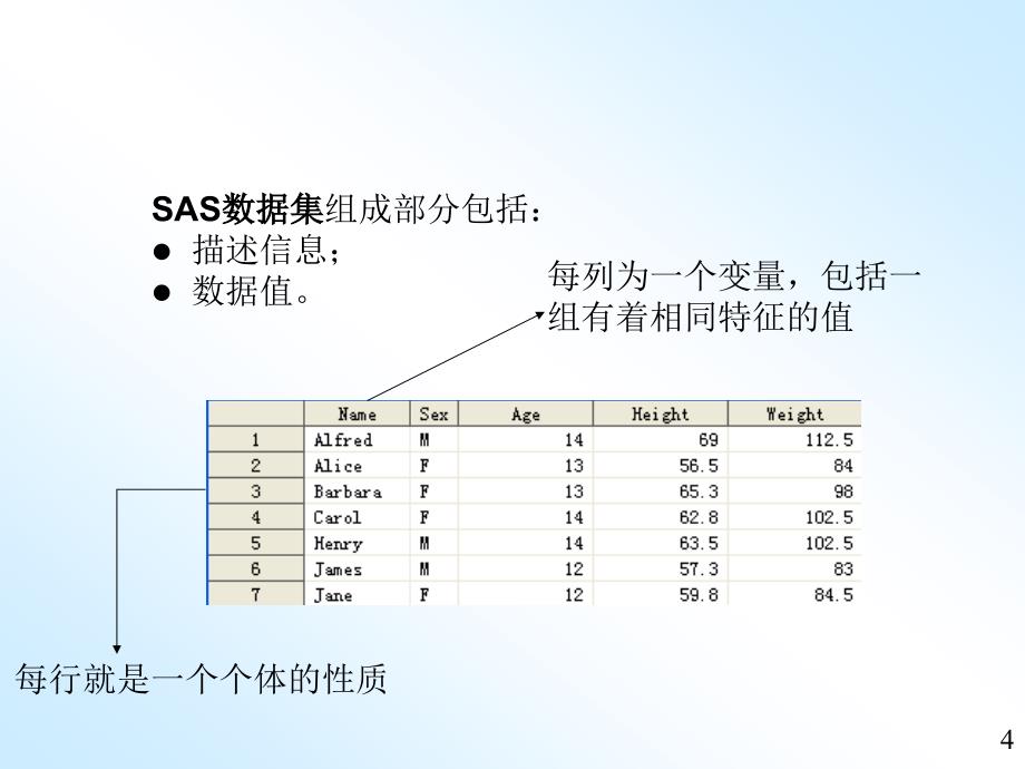 SAS基本概念：数据集.ppt_第4页