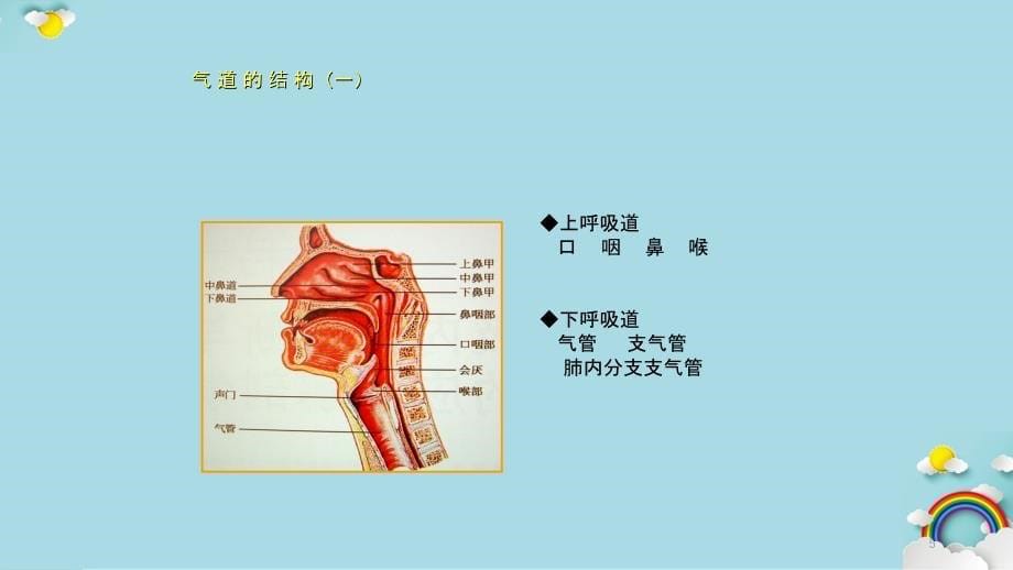 气道管理实用课件_第5页