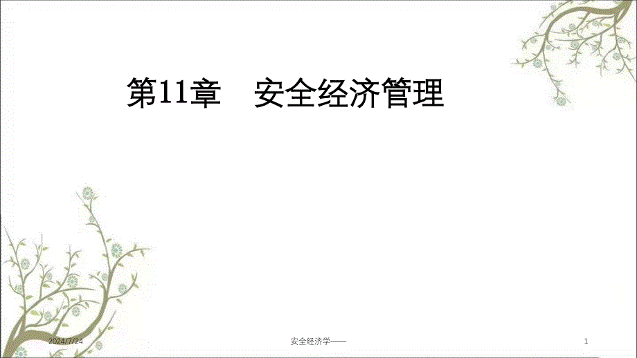 安全经济学PPT课件_第1页