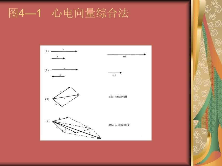 心电向量和心电向量图课件_第5页