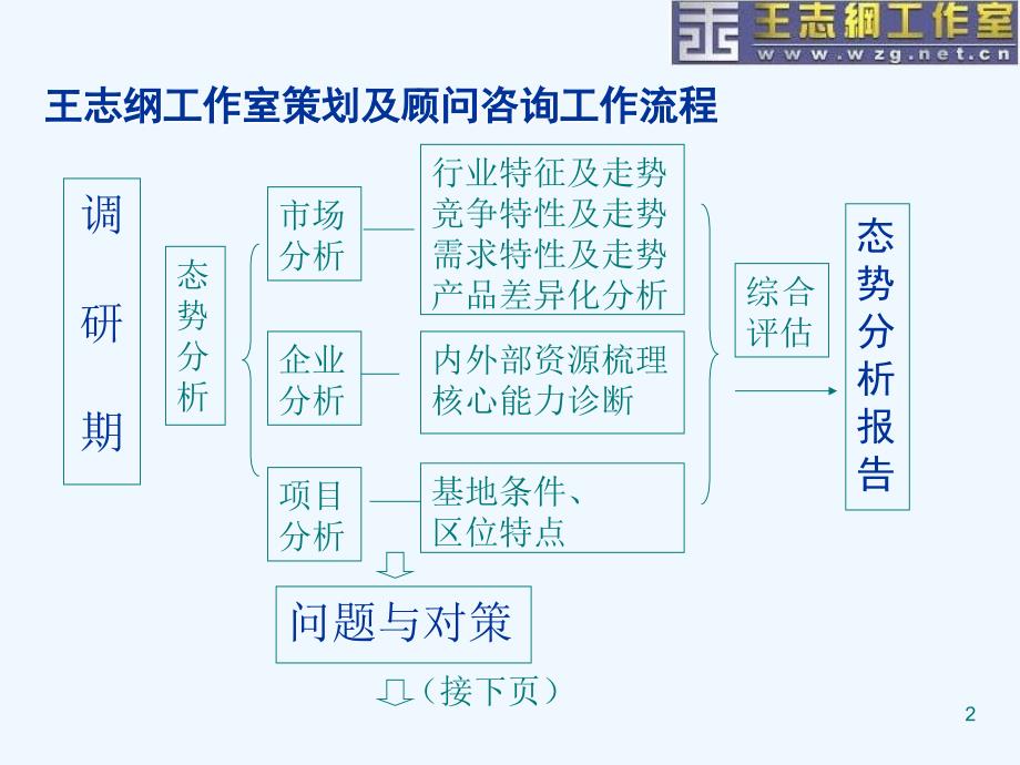 王志纲工作室星河湾策划个案_第2页