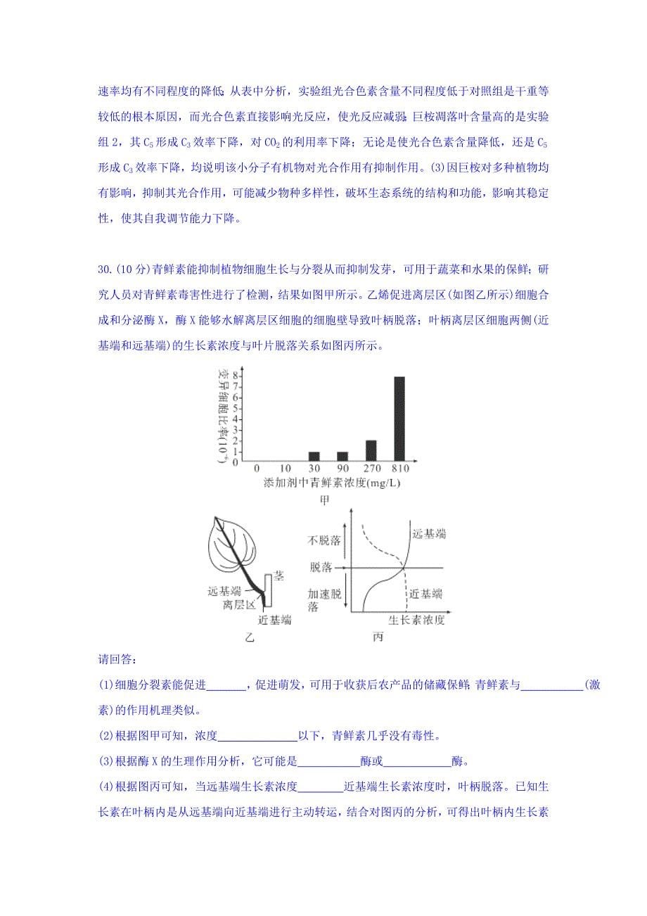 综合训练1_第5页