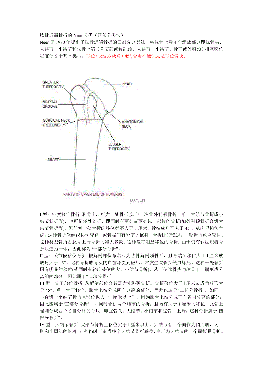 肩关节neer分型.doc_第1页